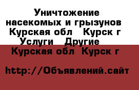 Уничтожение насекомых и грызунов - Курская обл., Курск г. Услуги » Другие   . Курская обл.,Курск г.